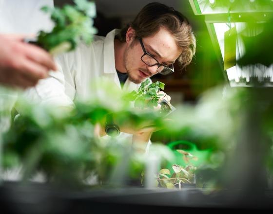 students examining plants